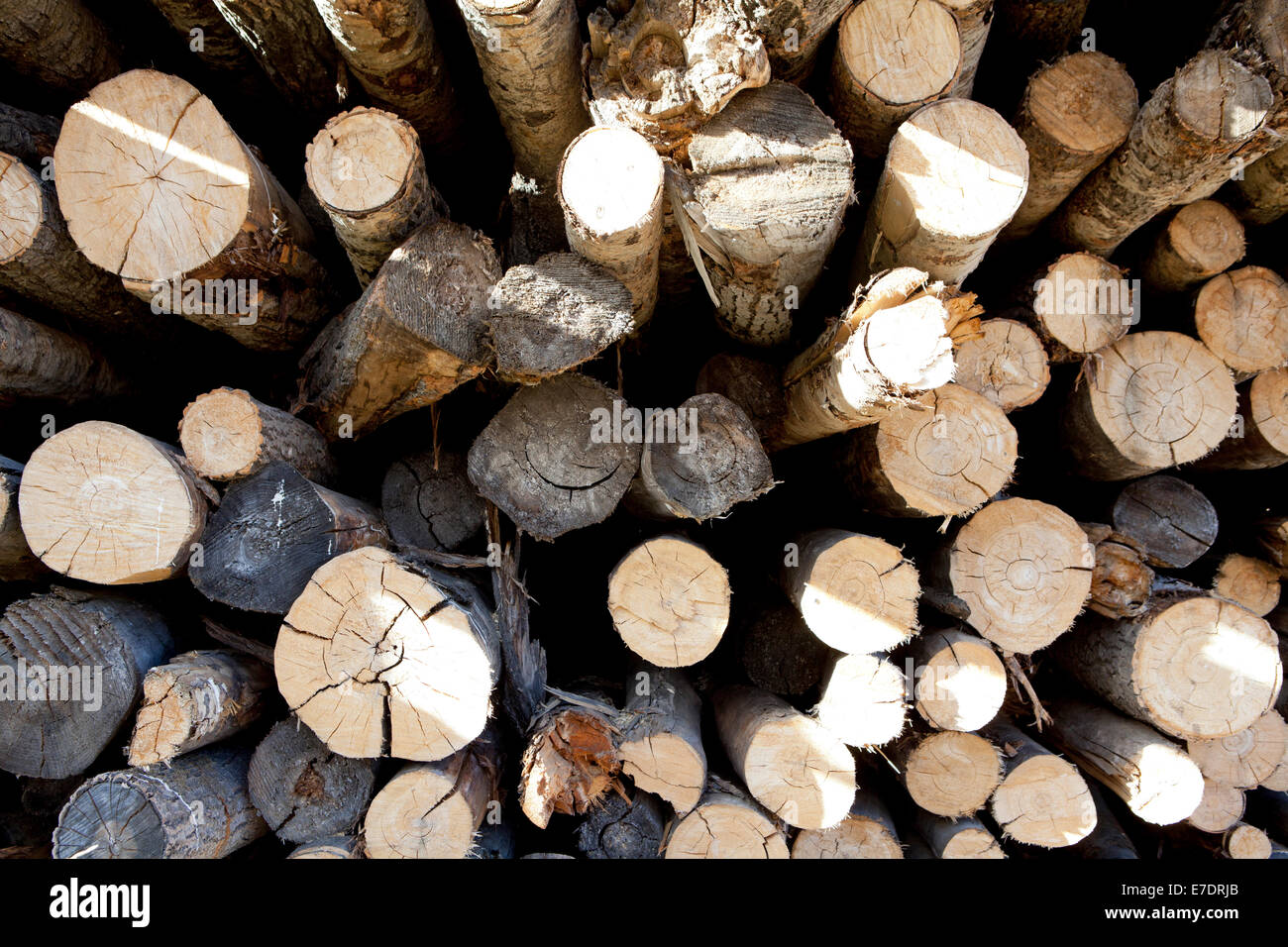 pali di legno Foto Stock
