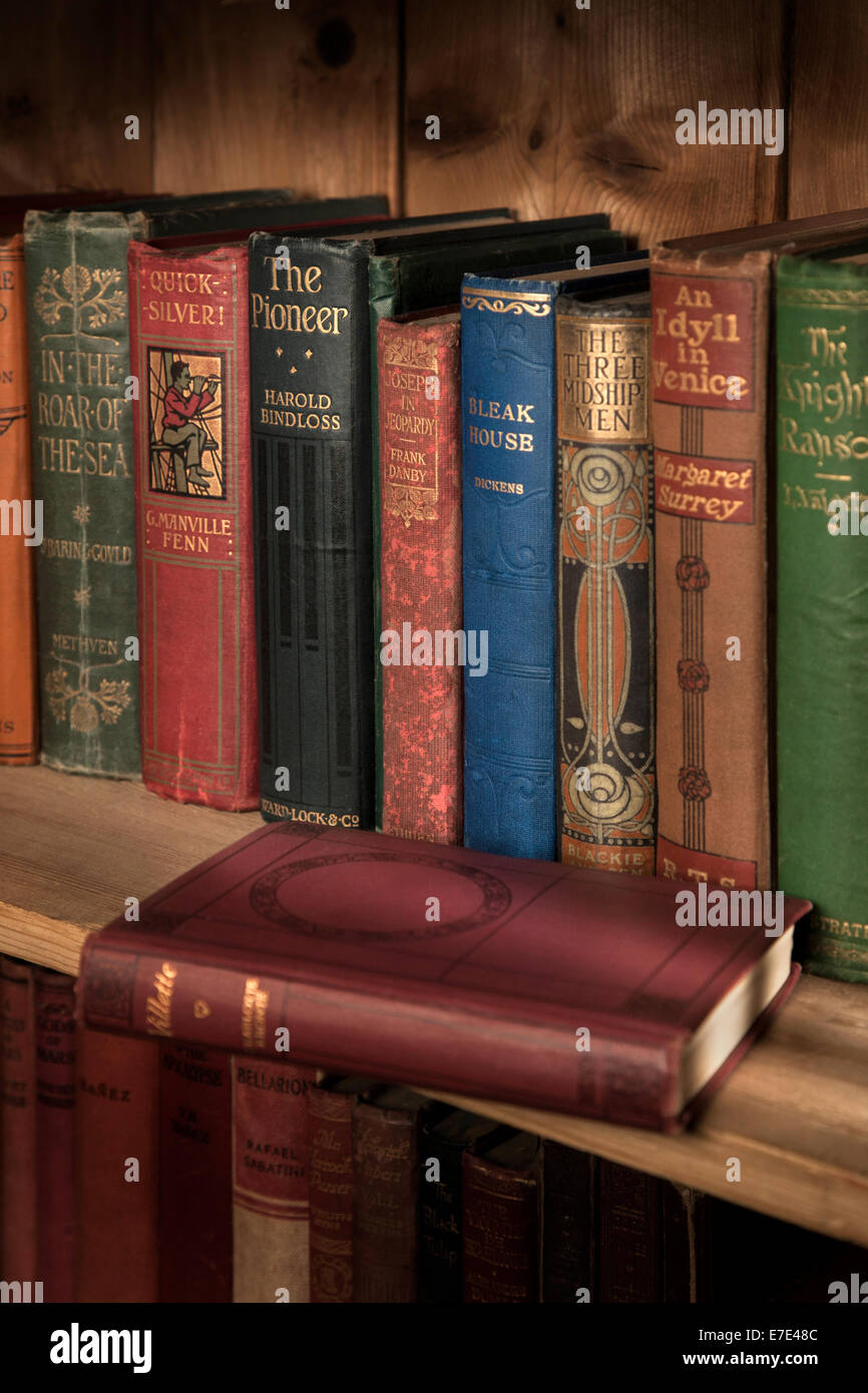 Copertina rigida con Vintage libri su uno scaffale di legno. Foto Stock