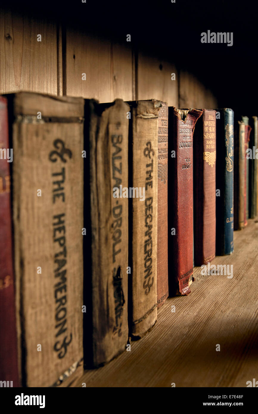 Copertina rigida con Vintage libri su uno scaffale di legno. Foto Stock