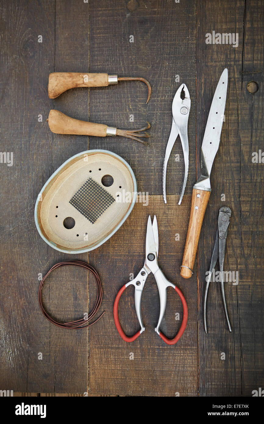 Albero di Bonsai tools Foto Stock