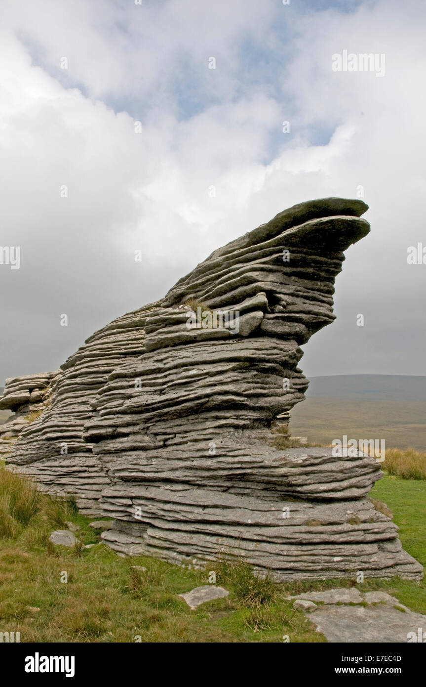 Il più settentrionale di affioramento di granito di Watern Tor su Dartmoor, noto come Thirlstone Foto Stock