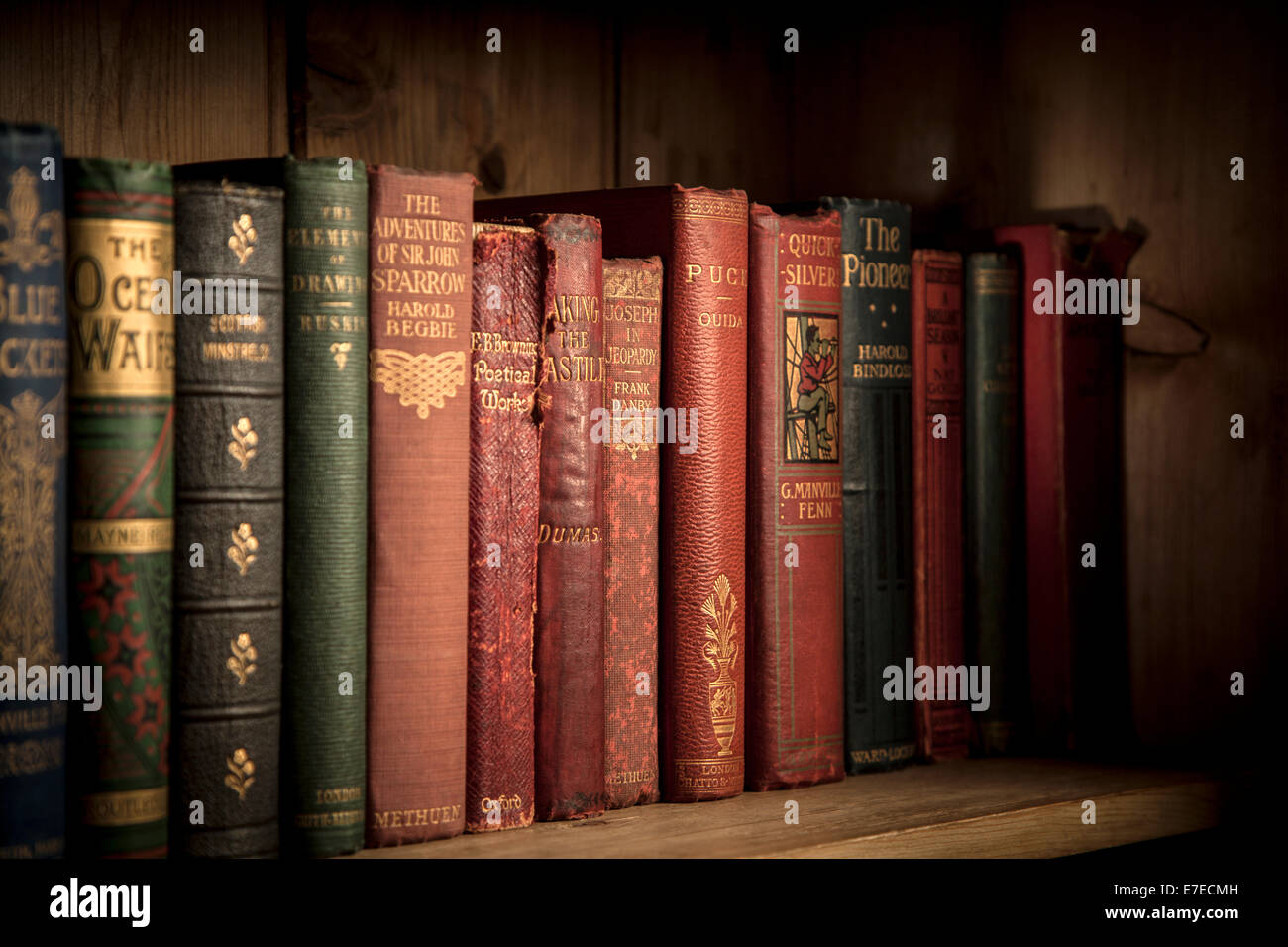 Copertina rigida con Vintage libri su uno scaffale di legno. Foto Stock