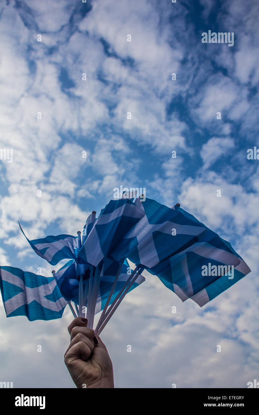 Braccio sventolando bandiere scozzese Foto Stock