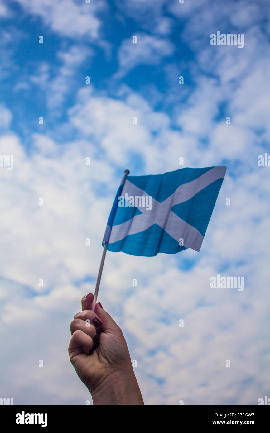 Braccio sventola una bandiera scozzese Foto Stock