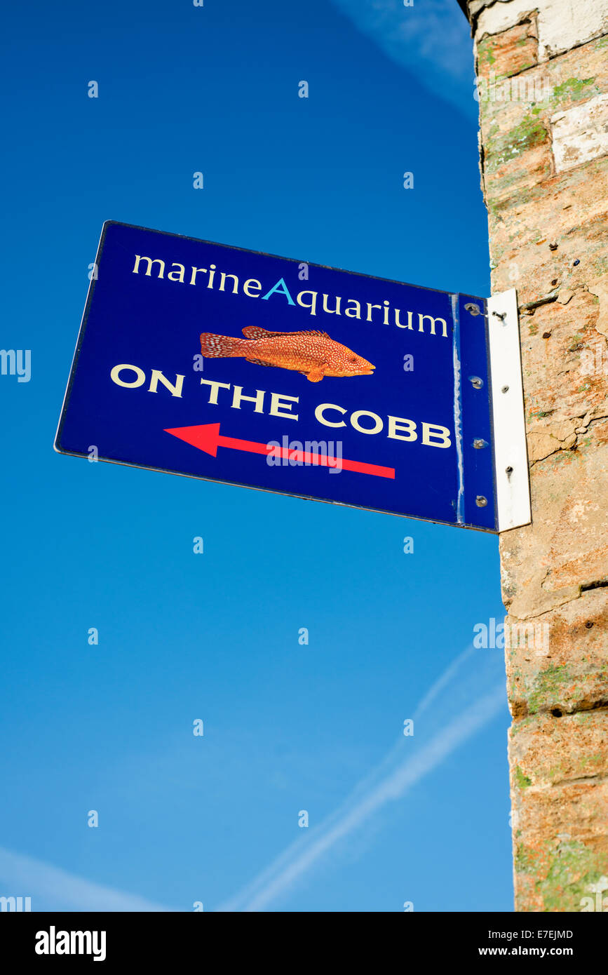 Segno acquario rivolta verso il Cobb a Lyme Regis, Dorset, England, Regno Unito Foto Stock