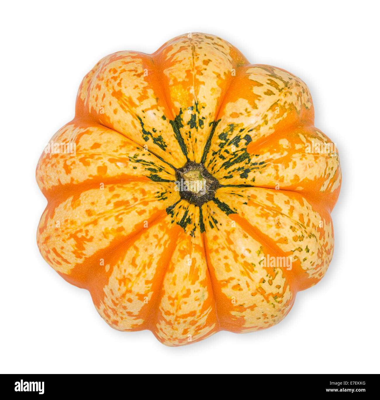 Zucca decorativa su sfondo bianco, vista dall'alto Foto Stock