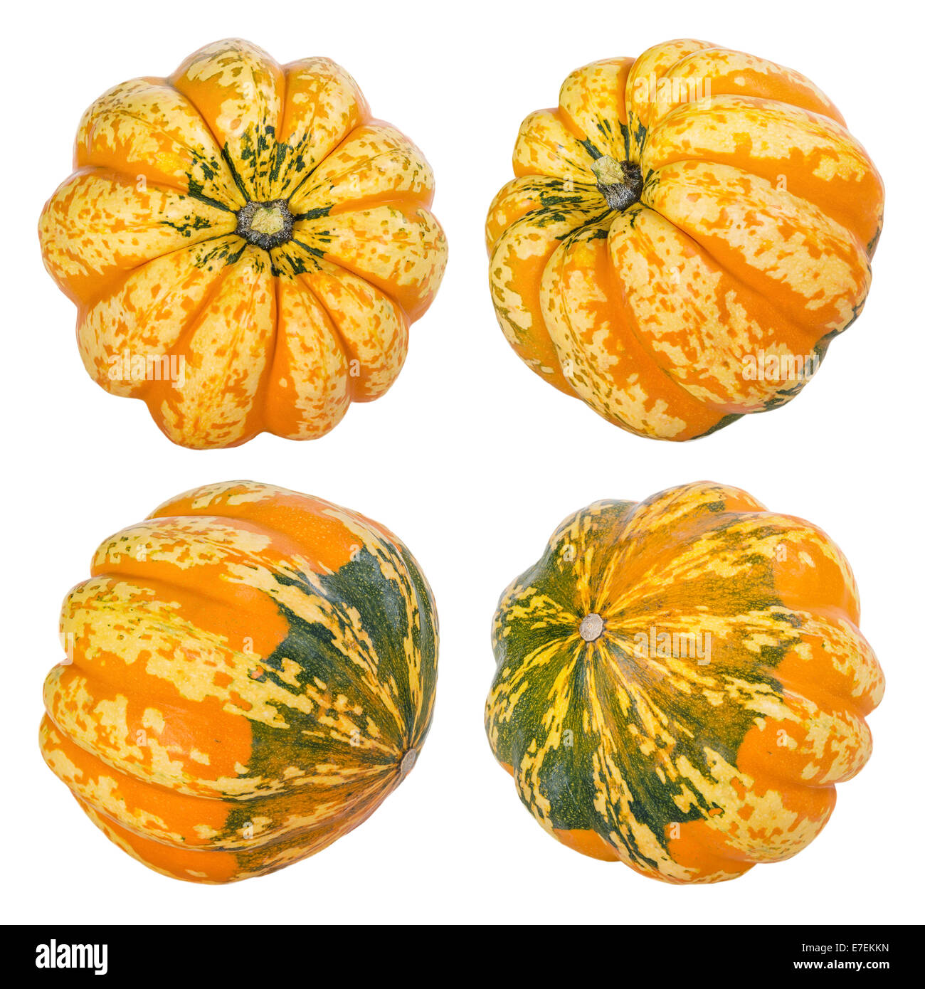 Zucca decorativa frutti isolati su sfondo bianco Foto Stock