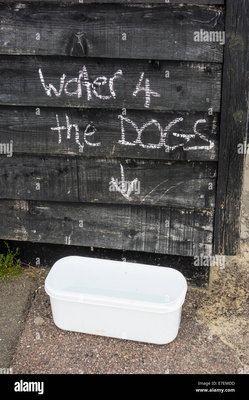 Acqua potabile per cani Animali Domestici Foto Stock