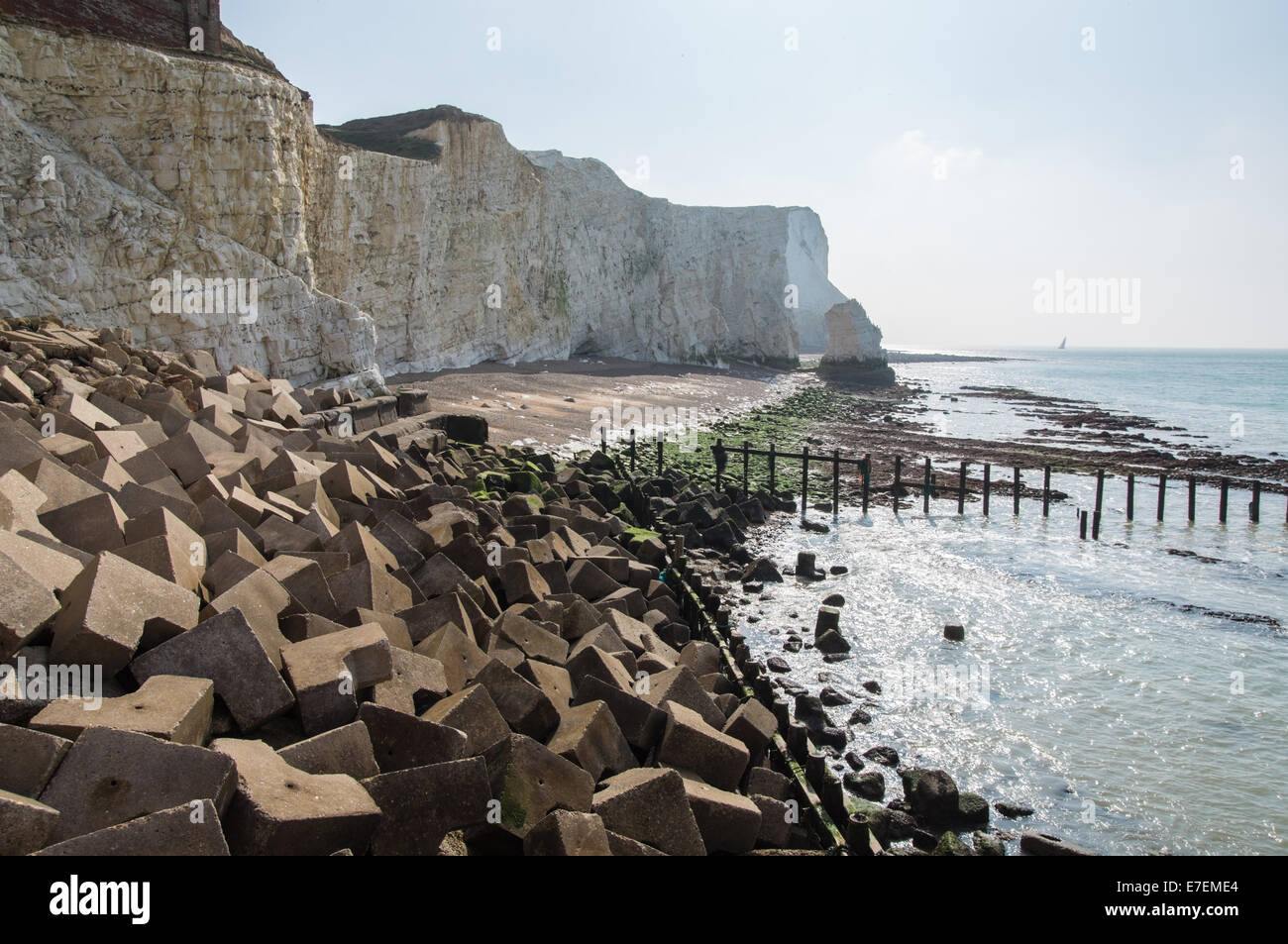 Testa di Seaford chalk cliffs vicino a Seaford East Sussex England Regno Unito Regno Unito Foto Stock