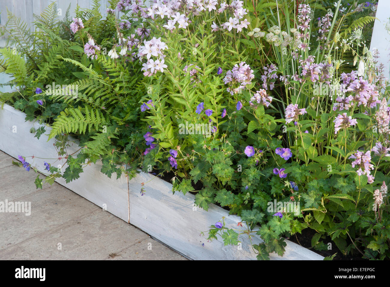 Il giardino - un giardino di solitudine - giardino contemporaneo frontiera muro realizzato da riutilizzare piantare legname Dryopteris Fl Foto Stock