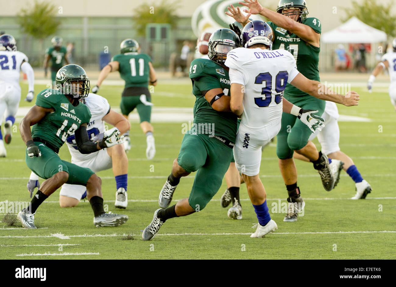 Sett. 13, 2014 - Sacramento, CA, Stati Uniti d'America - Dopo brancoli lo snap, Weber stato calcio Wildcats player, Blake O'Neill (39), sterline la sfera come egli è colpito dal Sacramento membro calabroni giocatore di football, Allan Alvaro (49) che è stato chiamato per la pena, durante il primo trimestre come il Sacramento membro calabroni ospiterà il Weber membro Wildcats a Hornet Stadium, sabato 13 settembre, 2014..Brian Baer/speciale per la Bee (credito Immagine: © Brian Baer/Sacramento Bee/ZUMA filo) Foto Stock