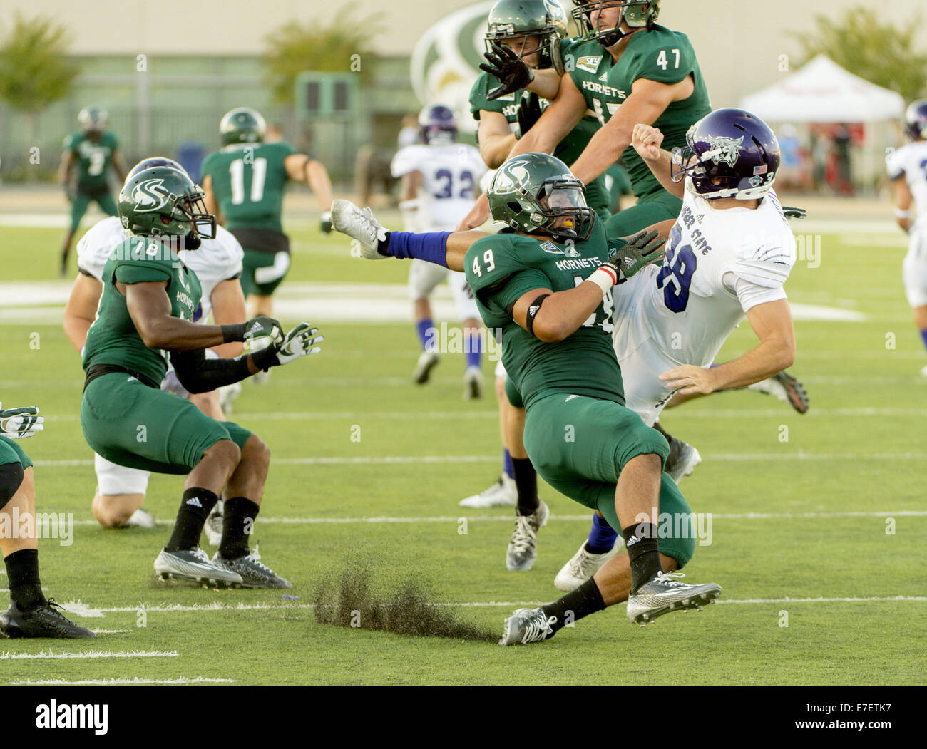 Sett. 13, 2014 - Sacramento, CA, Stati Uniti d'America - Dopo brancoli lo snap, Weber stato calcio Wildcats player, Blake O'Neill (39), sterline la sfera come egli è colpito dal Sacramento membro calabroni giocatore di football, Allan Alvaro (49) che è stato chiamato per la pena, durante il primo trimestre come il Sacramento membro calabroni ospiterà il Weber membro Wildcats a Hornet Stadium, sabato 13 settembre, 2014..Brian Baer/speciale per la Bee (credito Immagine: © Brian Baer/Sacramento Bee/ZUMA filo) Foto Stock