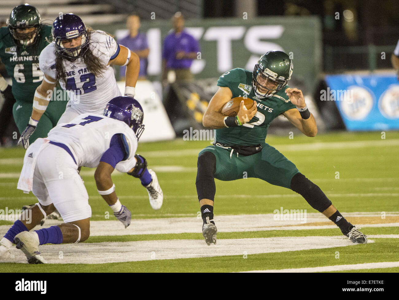 Sett. 13, 2014 - Sacramento, CA, Stati Uniti d'America - stato di Sacramento calabroni quarterback, Garrett Safron (12), scorre con la palla durante la seconda metà come il Sacramento membro calabroni ospiterà il Weber membro Wildcats a Hornet Stadium, sabato 13 settembre, 2014..Brian Baer/speciale per la Bee (credito Immagine: © Brian Baer/Sacramento Bee/ZUMA filo) Foto Stock
