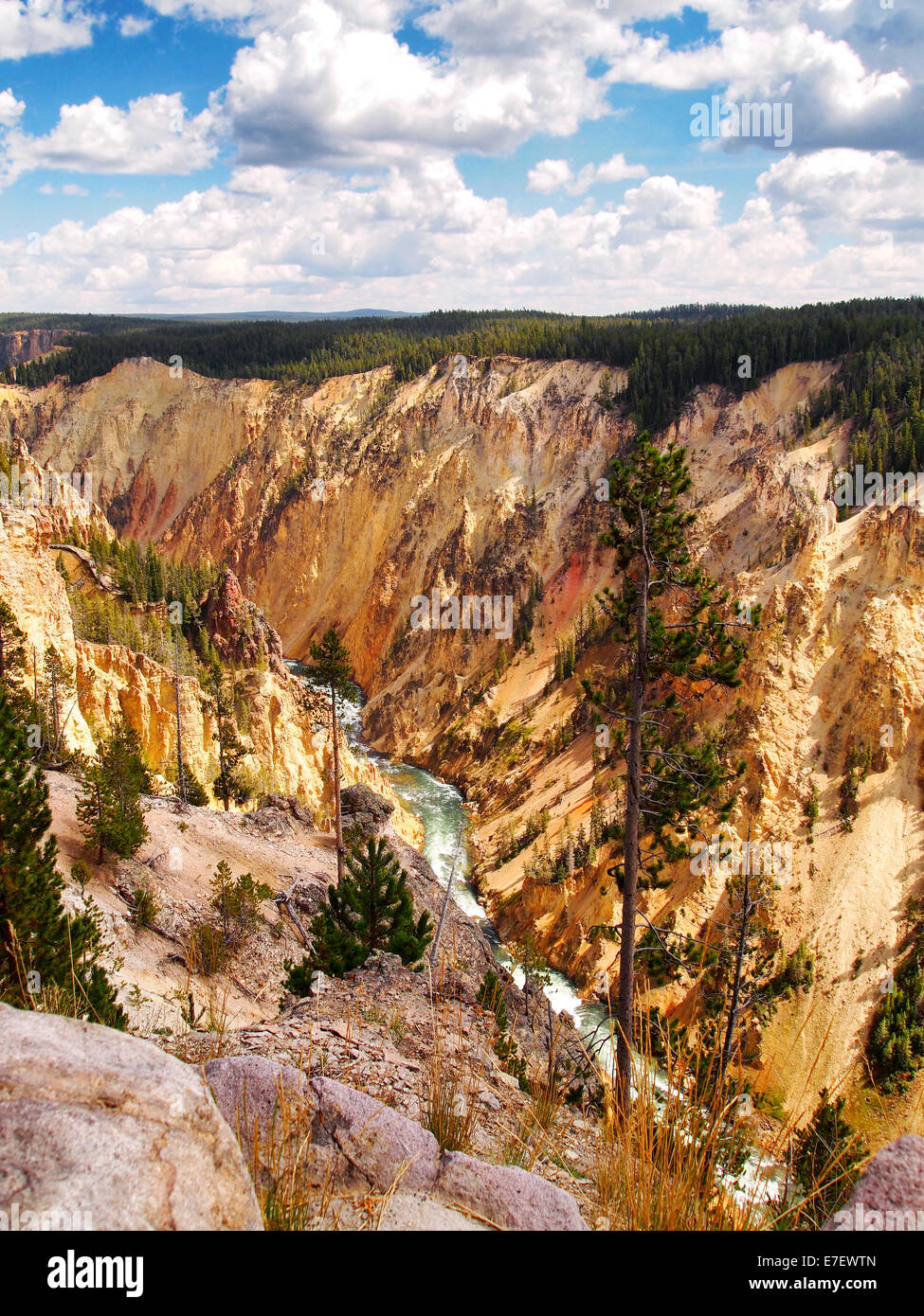 L'immagine verticale del fiume che scorre attraverso il Canyon di Yellowstone durante una bella giornata estiva circondata da alberi di pino e blue s Foto Stock