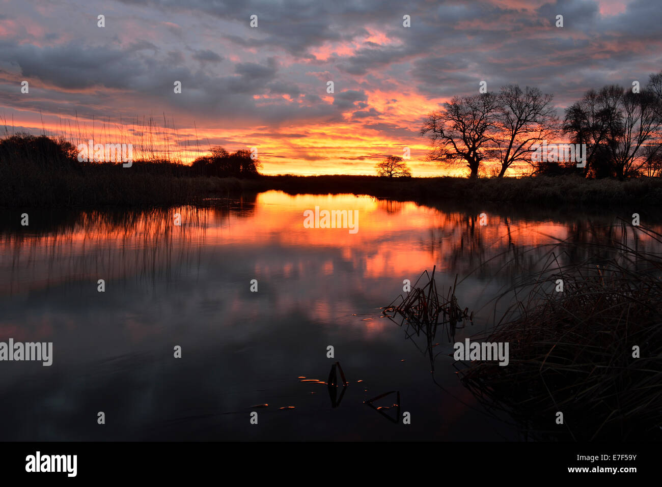 Alba sul Leiner vedere il lago in mezzo Elba Riserva della Biosfera, Dessau, Sassonia-Anhalt, Germania Foto Stock