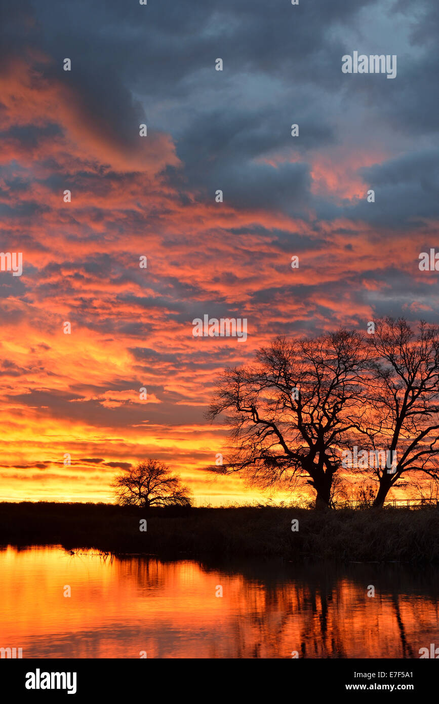 Alba sul Leiner vedere il lago in mezzo Elba Riserva della Biosfera, Dessau, Sassonia-Anhalt, Germania Foto Stock