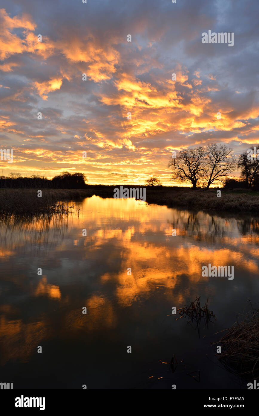 Alba sul Leiner vedere il lago in mezzo Elba Riserva della Biosfera, Dessau, Sassonia-Anhalt, Germania Foto Stock