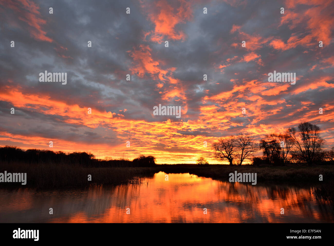 Alba sul Leiner vedere il lago in mezzo Elba Riserva della Biosfera, Dessau, Sassonia-Anhalt, Germania Foto Stock