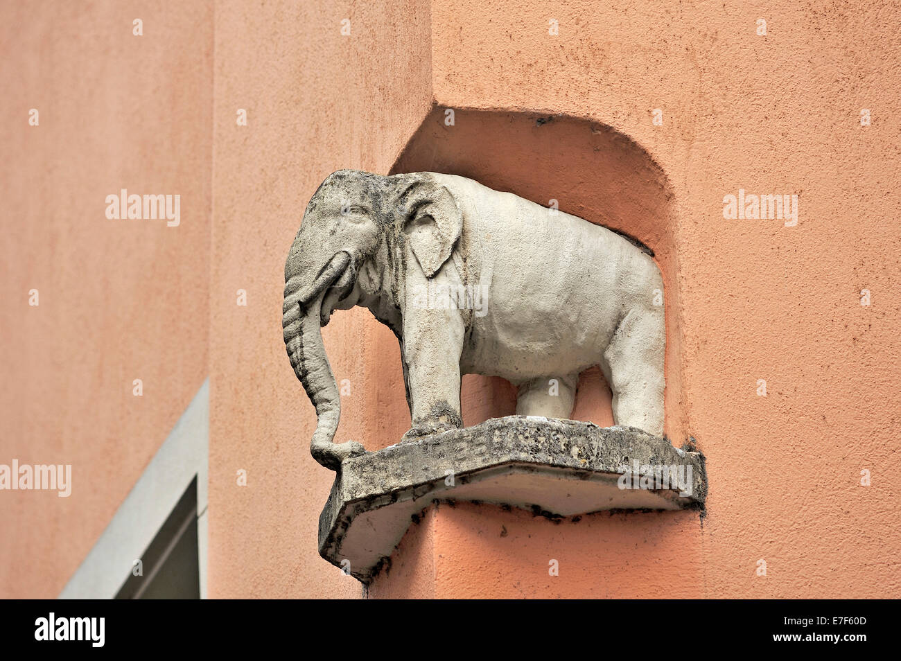 Scultura di elefante in una nicchia della facciata del Elefanten Ristorante, Konstanz, Baden-Württemberg, Germania Foto Stock