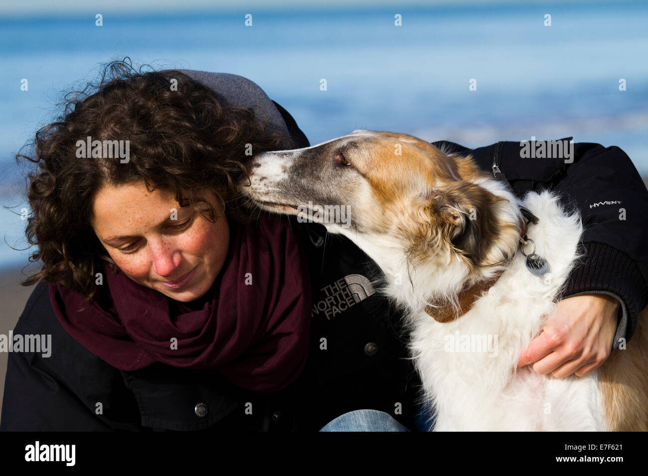 Cane o russo Wolfhound, smootching con una giovane donna, Toscana, Italia Foto Stock