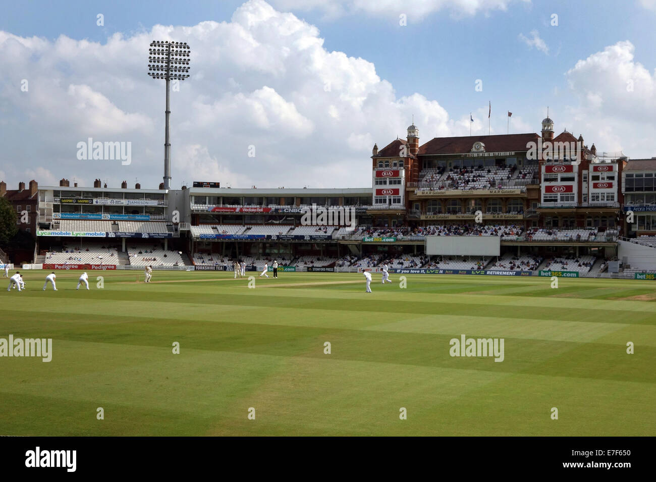 County Cricket alla Kia massa ovale in Londra Foto Stock