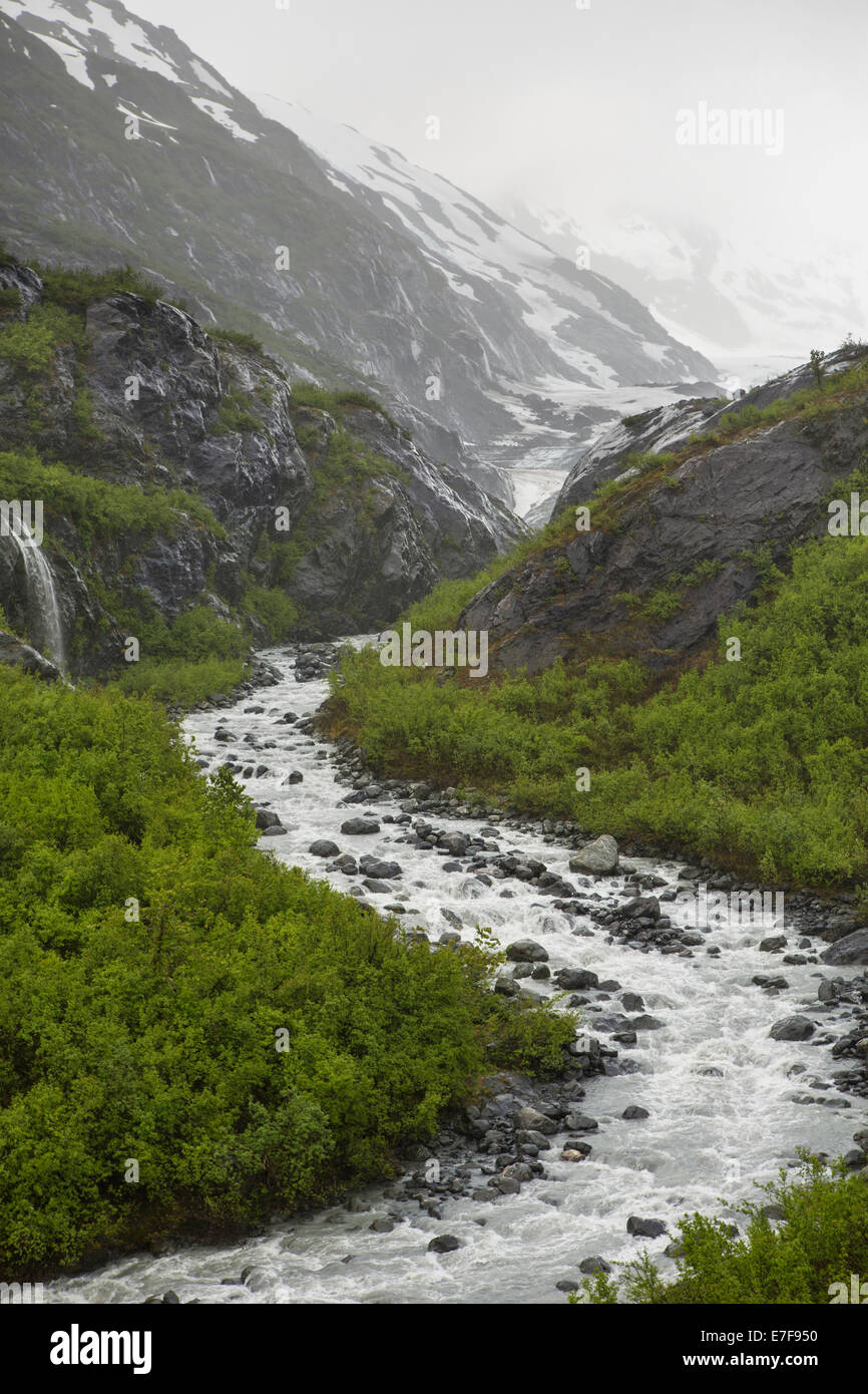 Rocky River che scorre attraverso montagne coperte di neve, Anchorage, Alaska Denali National Park, Stati Uniti Foto Stock