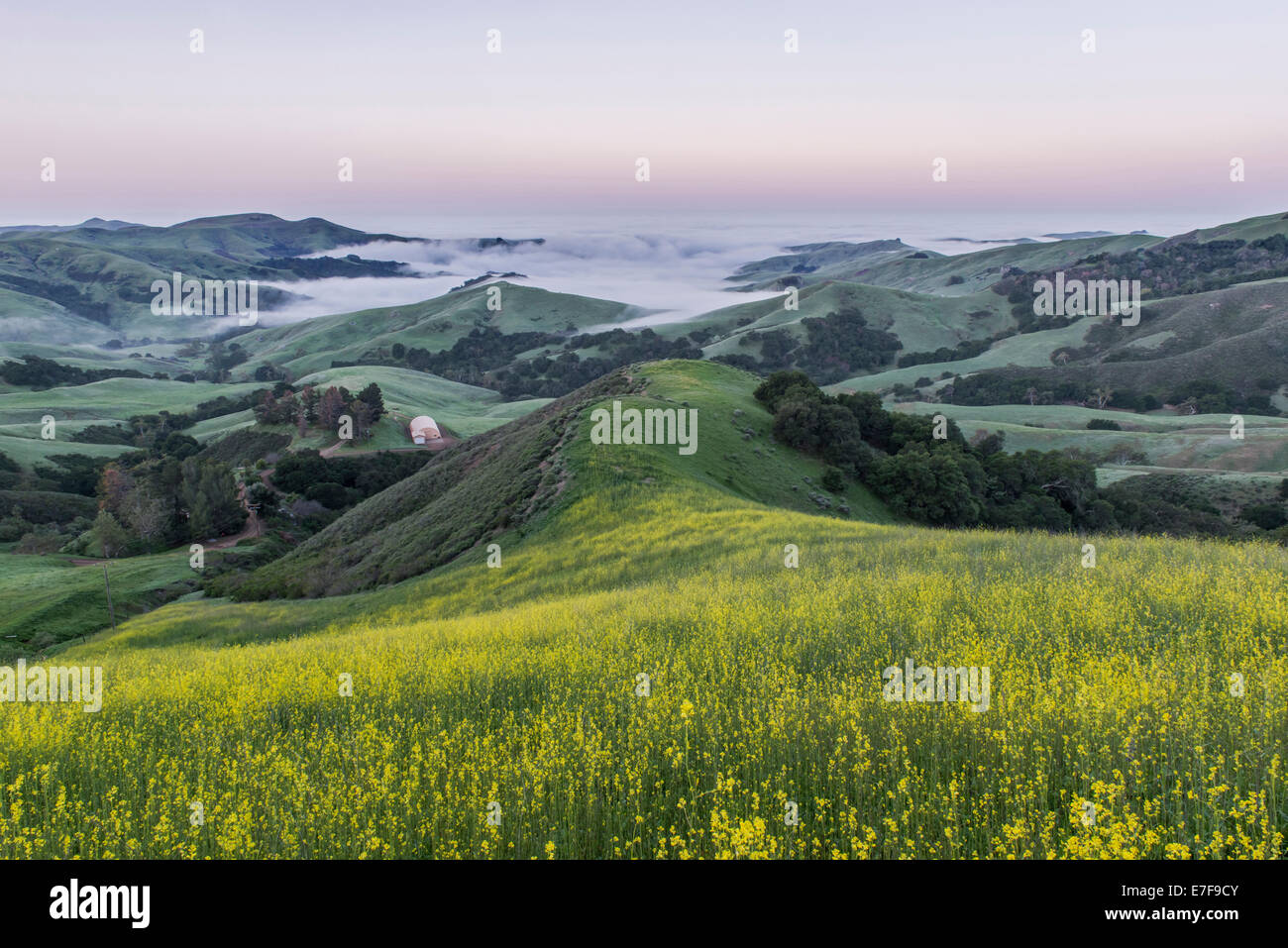 Paesaggio di rotolamento visto dalla collina erbosa Foto Stock