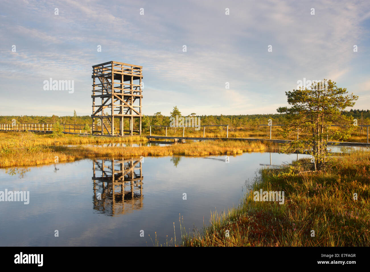 Torre di osservazione a Männikjärve Bog, Endla Riserva Naturale, Estonia Foto Stock