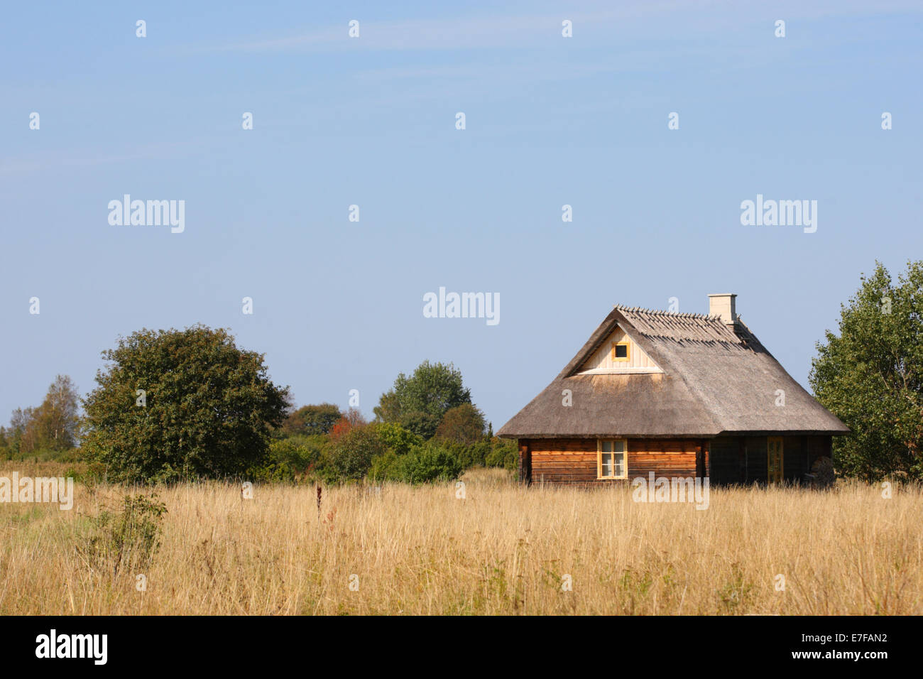 Spesso reed estone tetto in isola di Saaremaa. Estonia Foto Stock