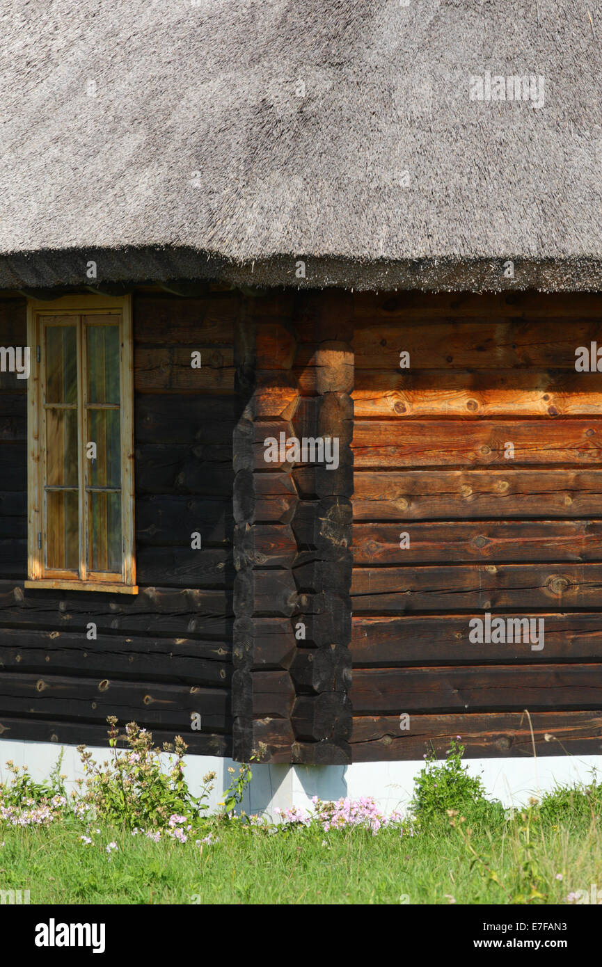 Spesso reed estone tetto in isola di Saaremaa. Estonia Foto Stock
