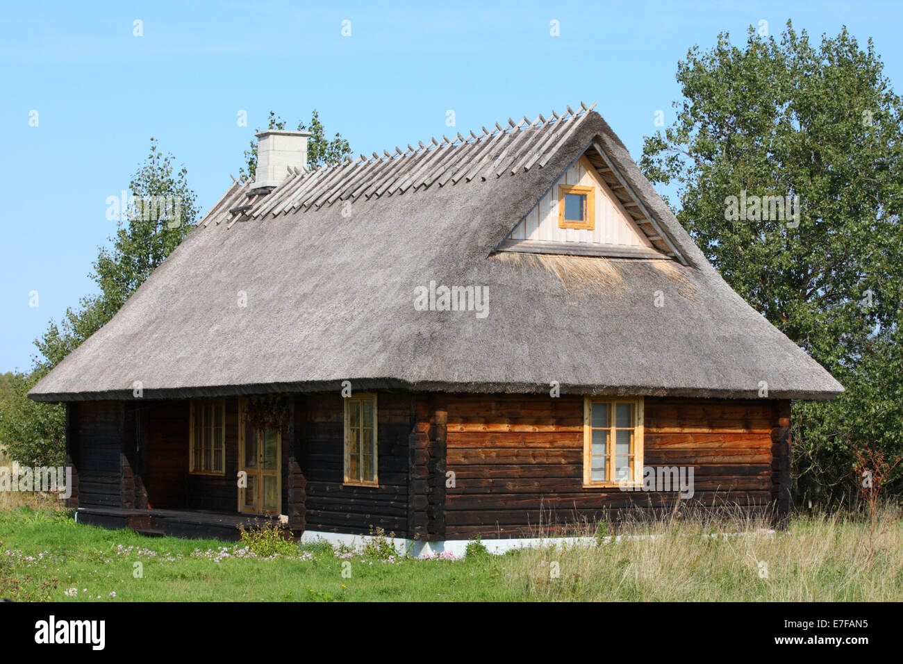 Spesso reed estone tetto in isola di Saaremaa. Estonia Foto Stock