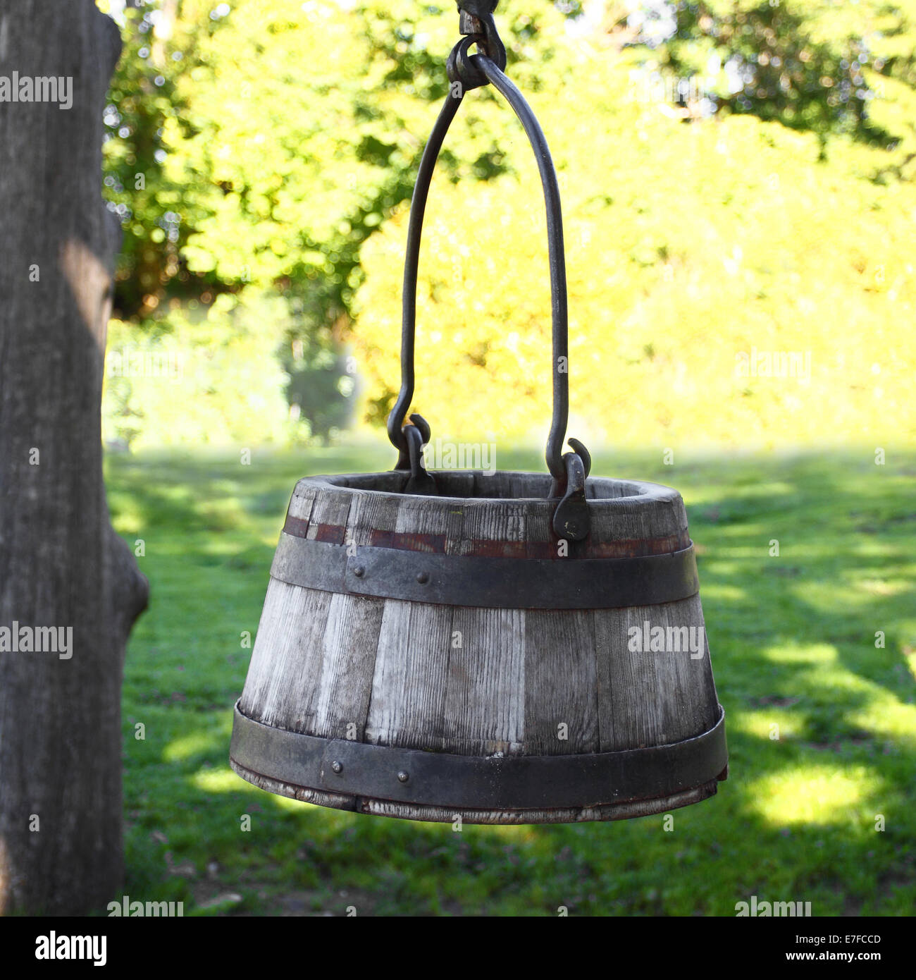 Vasca in legno si blocca sul naturale sfondo verde Foto Stock