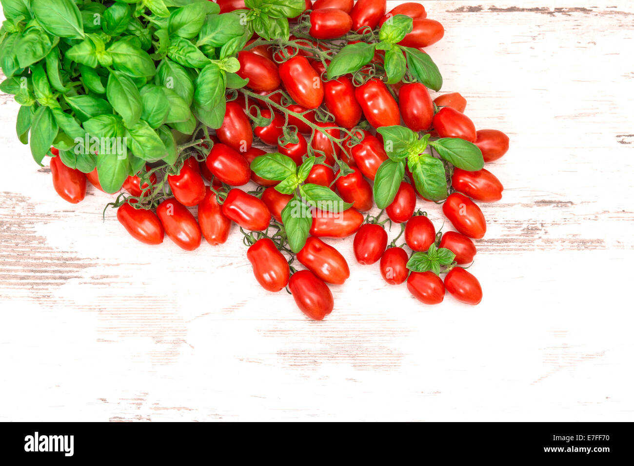 Foglie di basilico fresco di erbe e pomodori ciliegini. cibo organico. salutare cucina mediterranea Foto Stock