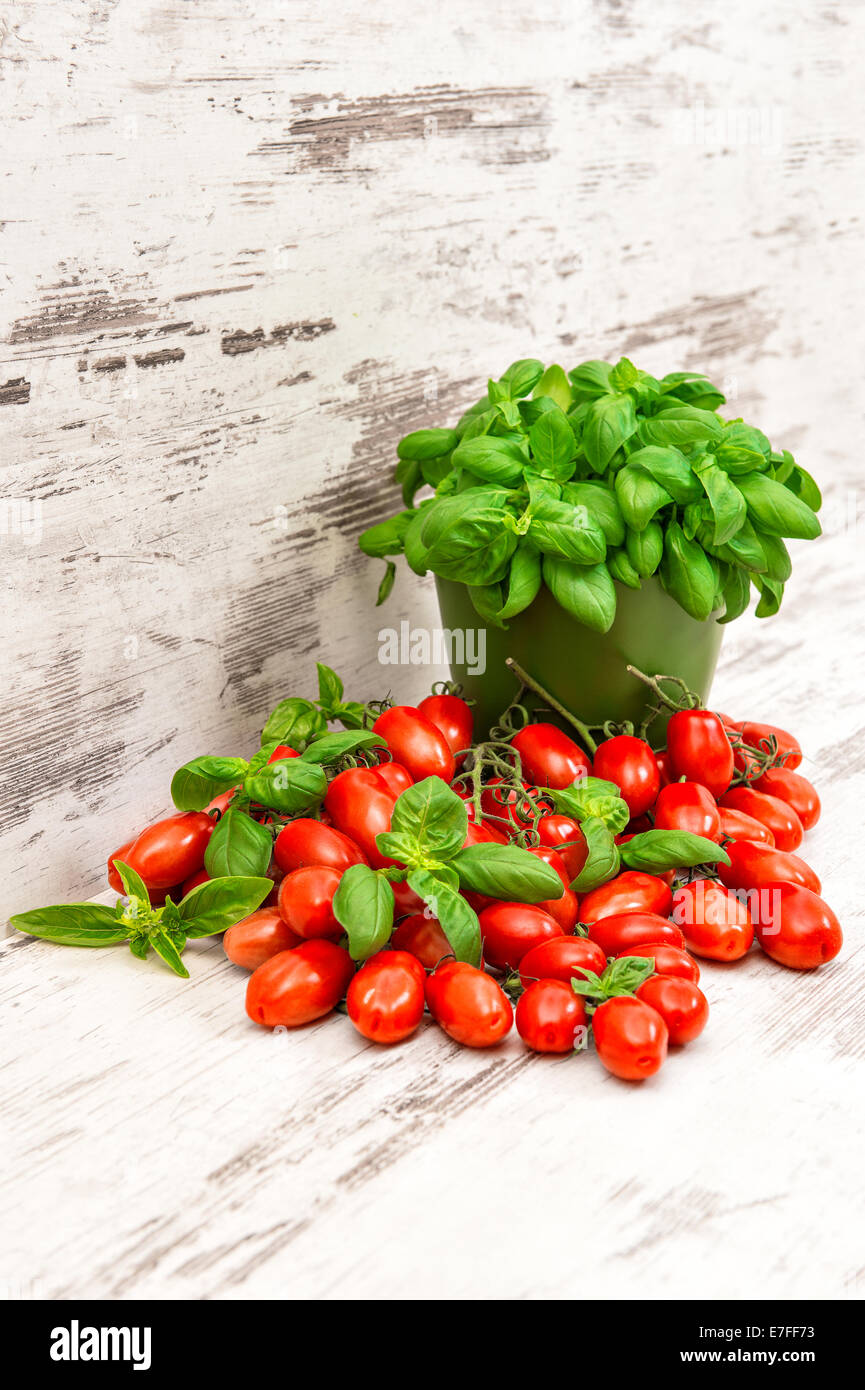 Basilico fresco e di piante di pomodori ciliegini. italiano degli ingredienti alimentari Foto Stock