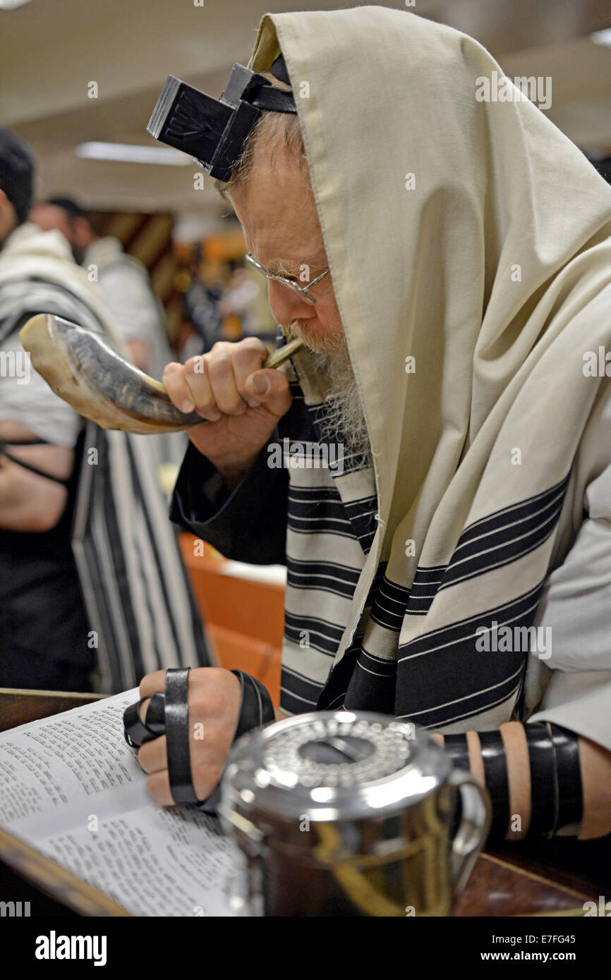 Religiosa ebraica uomo soffia un shofar durante i servizi prima del nuovo anno in una sinagoga in Crown Heights, Brooklyn, NY Foto Stock