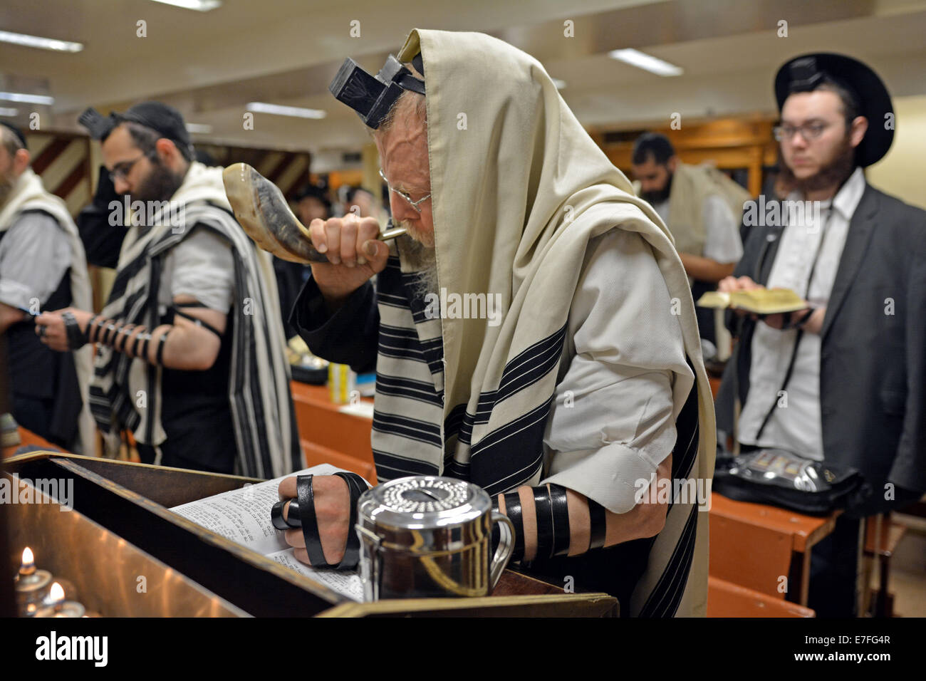 Religiosa ebraica uomo soffia un shofar durante i servizi prima del nuovo anno in una sinagoga in Crown Heights, Brooklyn, NY Foto Stock