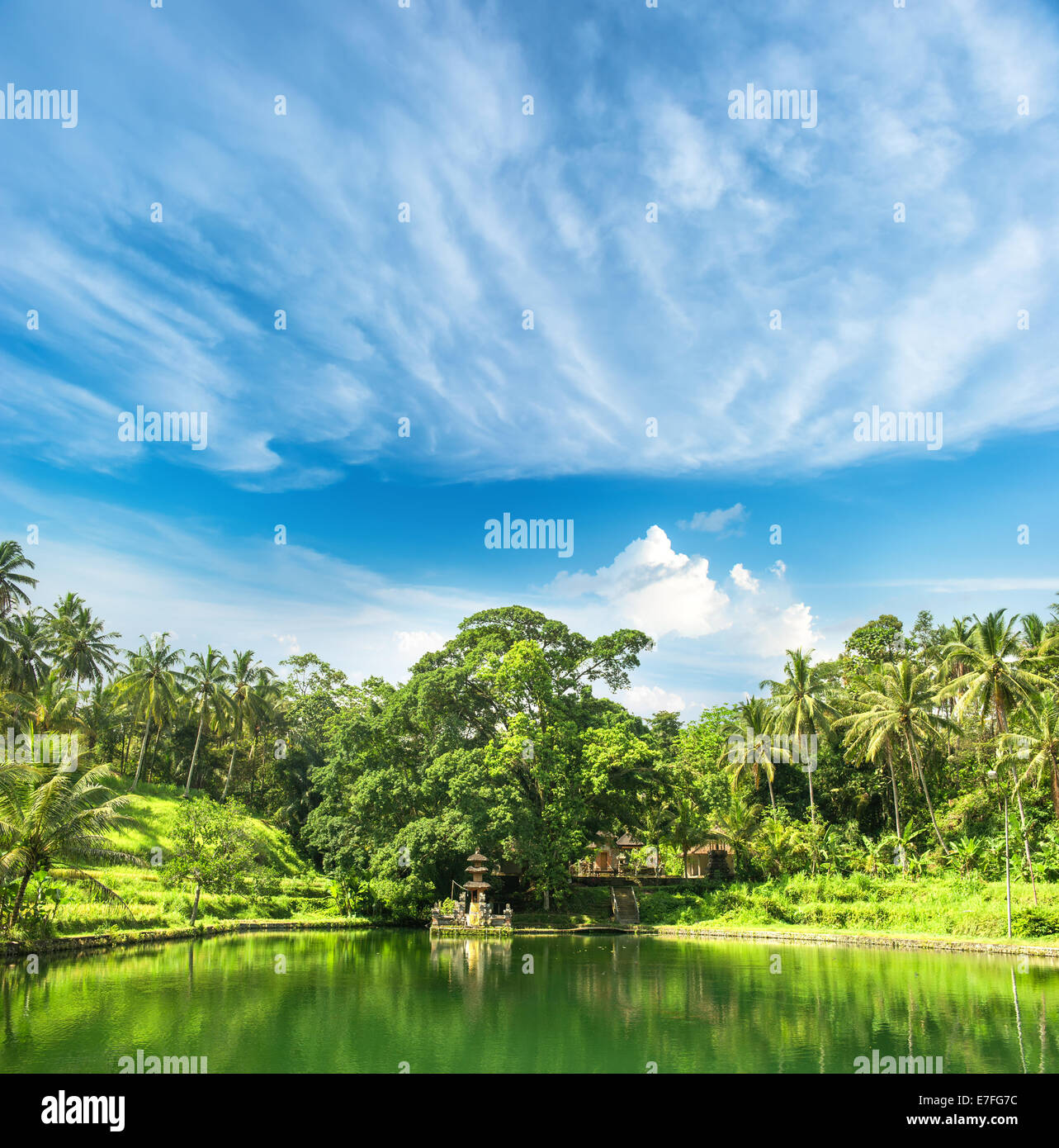 Paradise Lago con palme e cielo blu. natura tropicale paesaggio. Ubud, Bali, Indonesia Foto Stock