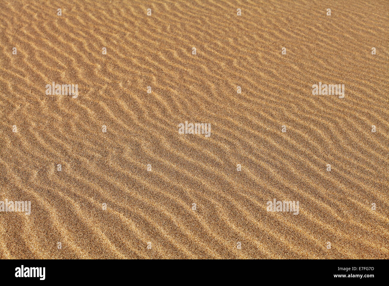 La consistenza della sabbia increspata con il vento Foto Stock
