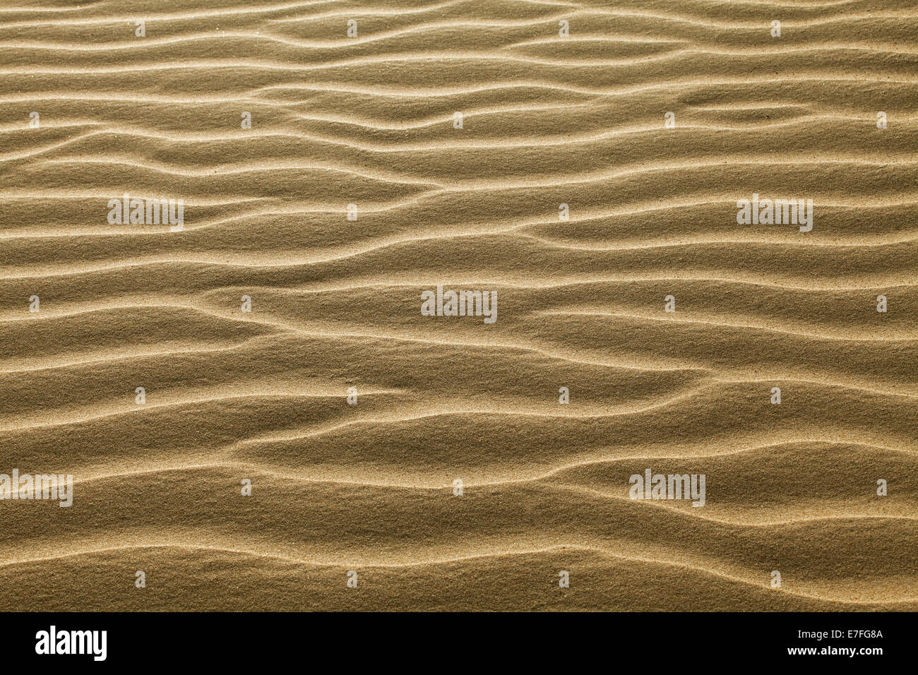 La consistenza della sabbia increspata con il vento Foto Stock