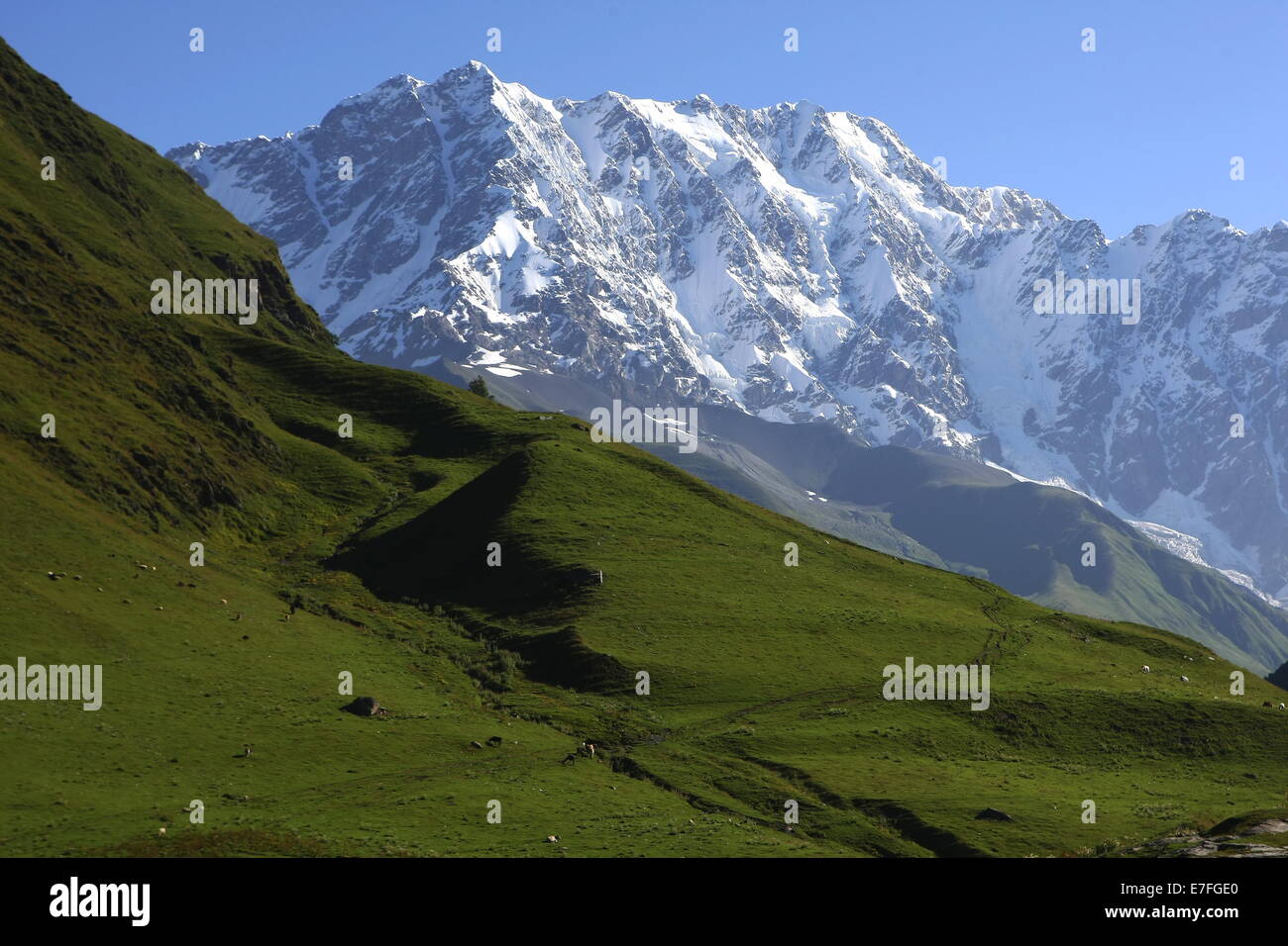 Il Monte Shkhara dal villaggio di Ushguli,Regione Svaneti,Caucaso,Georgia.Shkhara è il punto più alto in Georgia(5193 mt) Foto Stock