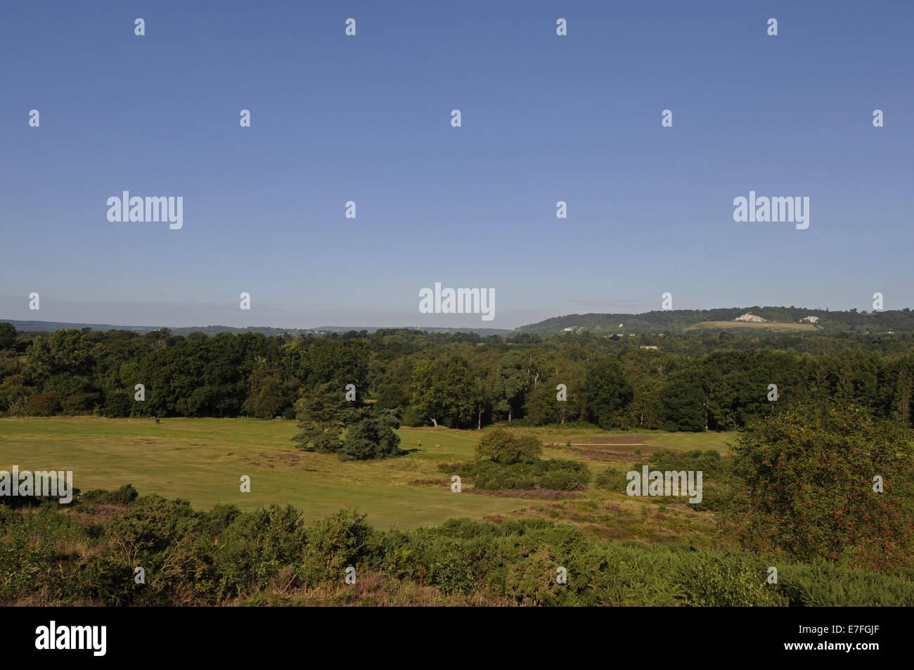 Vista su Reigate Heath Golf Club Surrey in Inghilterra Foto Stock