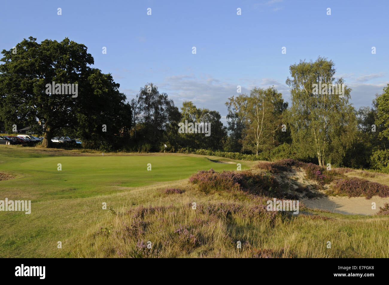 Vista del nono verde a Reigate Heath Golf Club Surrey in Inghilterra Foto Stock