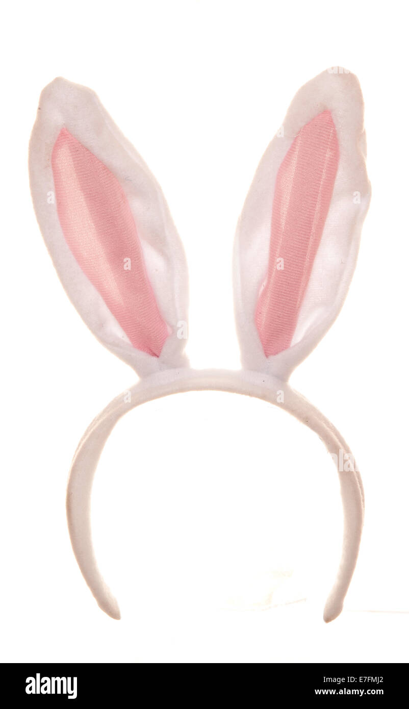 Pasqua orecchie di coniglio studio ritaglio Foto Stock