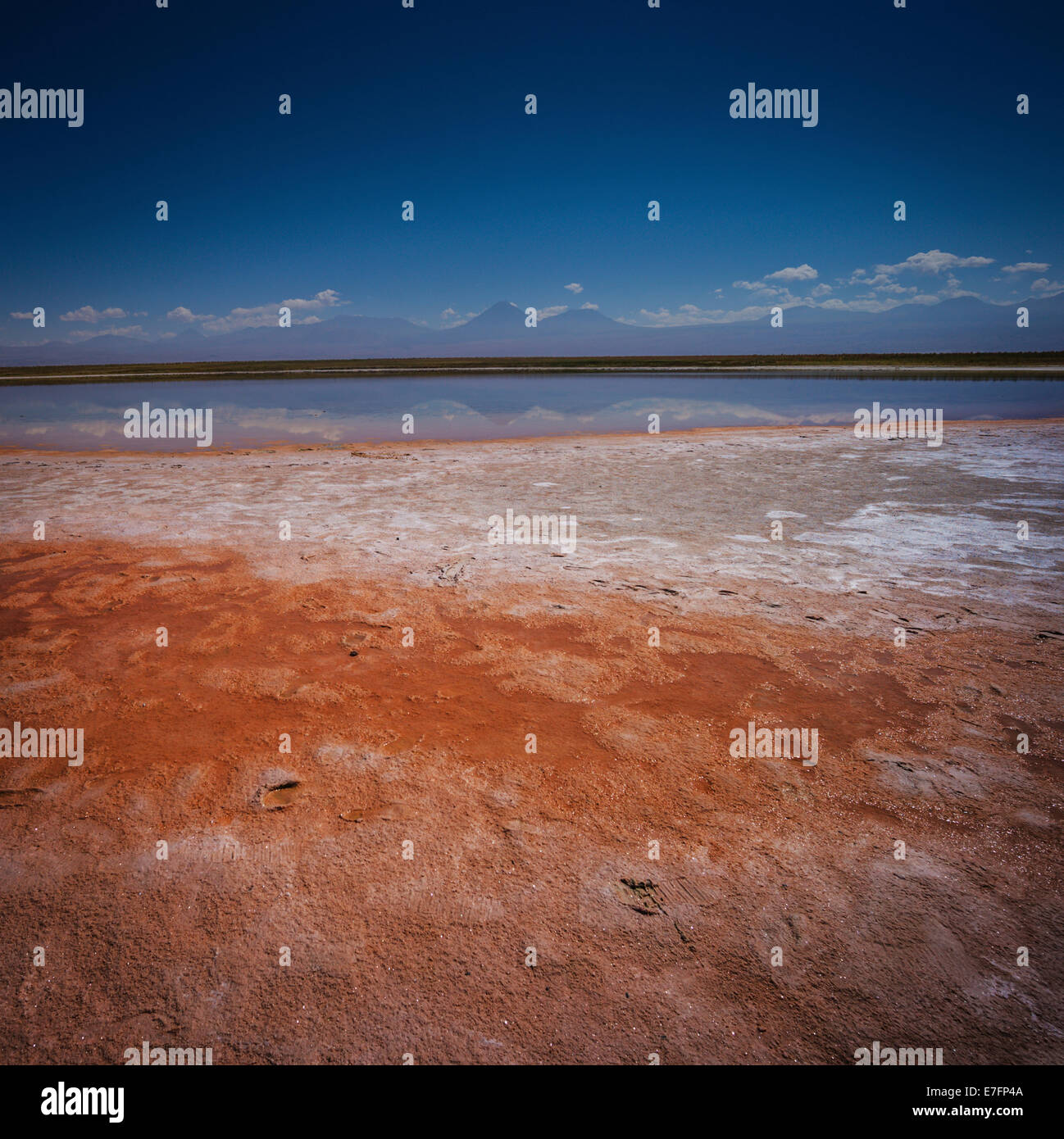 Saline dell'alto altiplano, Cile. Foto Stock