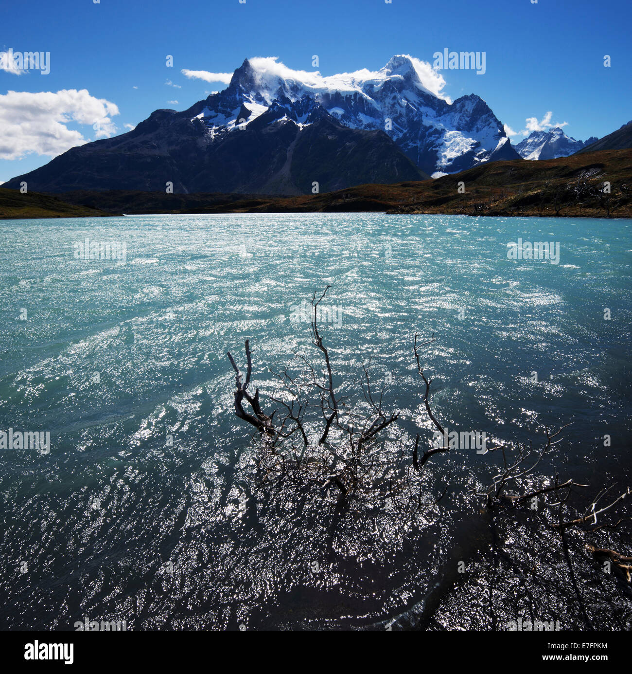 Lago Nordenskjöld in Patagonia cilena. Foto Stock