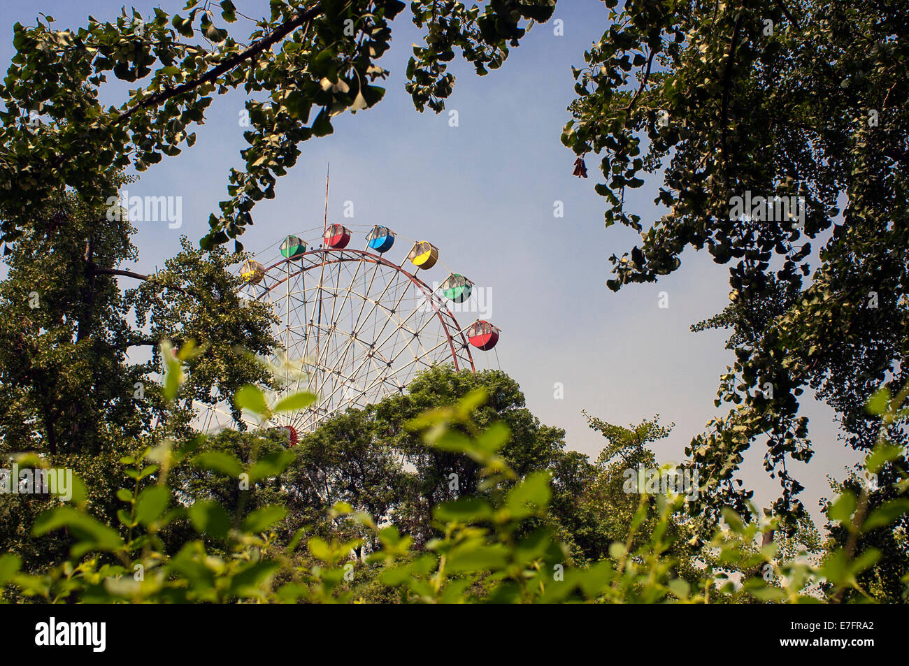 La grande ruota panoramica Ferris a Shanghai Zoo.Lo Zoo di Shanghai è il principale il giardino zoologico nel distretto di Changning nella città cinese di Sha Foto Stock