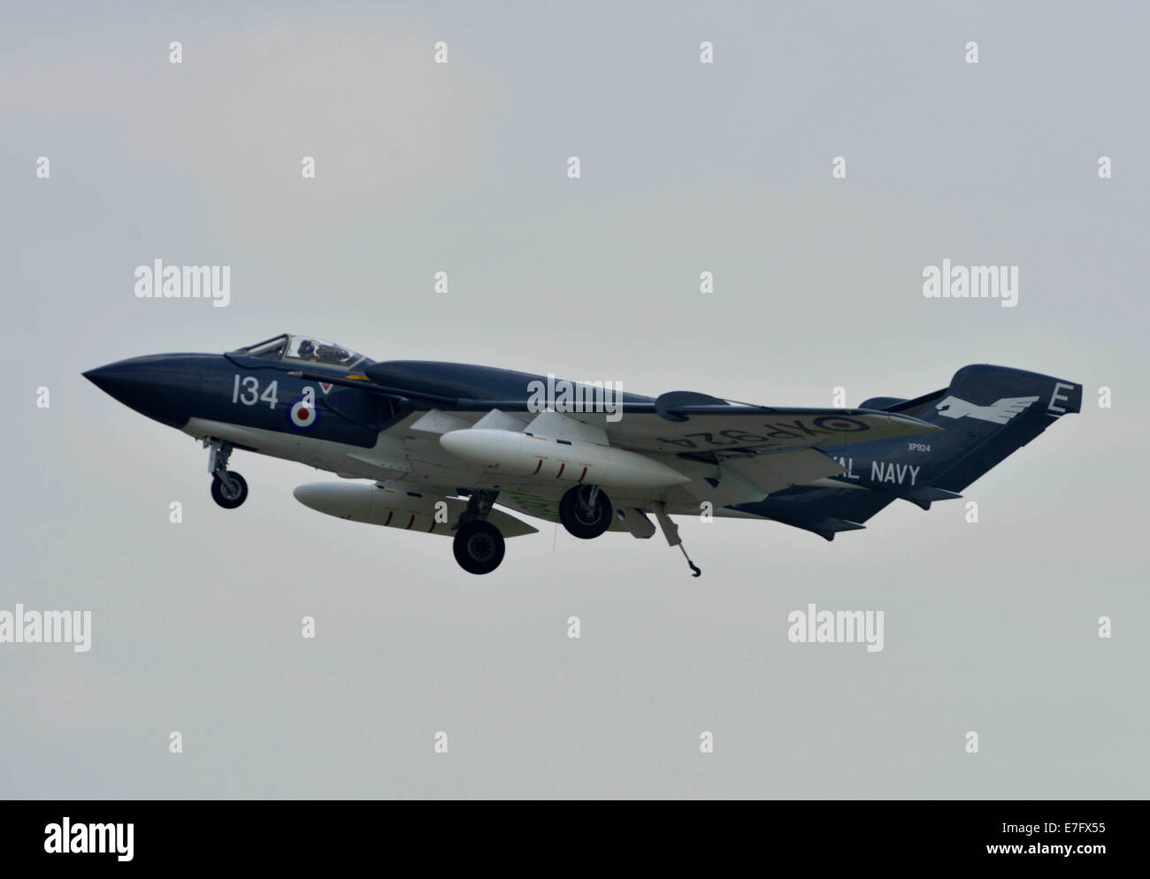 Yeovilton, Somerset, Regno Unito. 16 Settembre, 2014. Consegnare al Royal Navy Fleet Air Arm a RNAS Yeovilton, Somerset REGNO UNITO dell'unico esempio di una versione di volo del mare Vixen Fighter Aircraft. Signor Julian Jones da Jersey ha donato il piano solo per un Jersey pound nota. 16 Settembre, 2014 foto: Dorset Media Service/ Alamy Live News Foto Stock