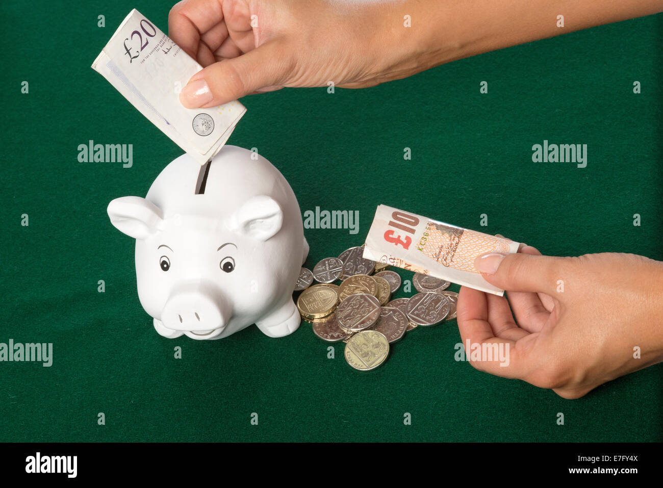 Salvadanaio con Sterling le banconote e le monete di donna risparmio di mano banconote britannico Foto Stock