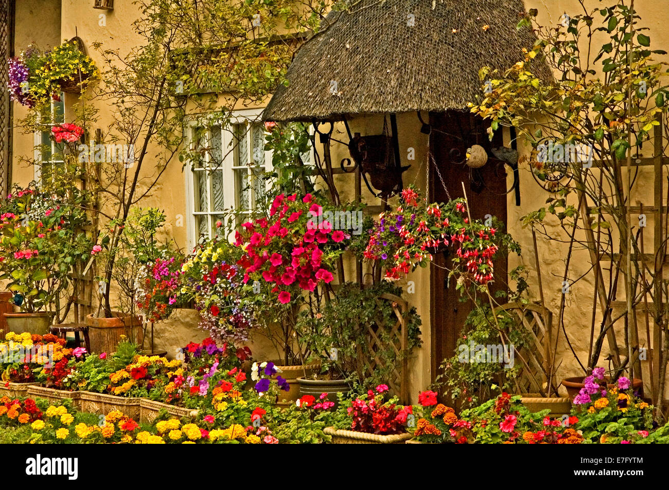 Case vacanze nel villaggio di Lulworth in Dorset, con tetti di paglia e colorati nei cestini appesi al di fuori. Foto Stock