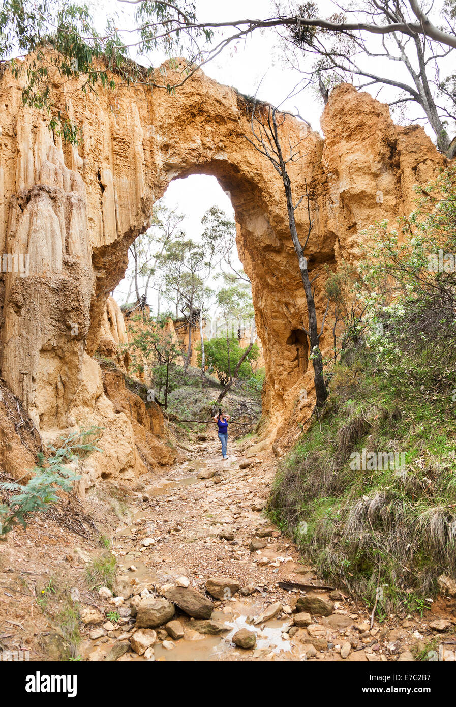 Golden canalone arch a Historic Hill fine nsw Australia. Scavati dai minatori d'oro erosione ha fatto il resto. Foto Stock